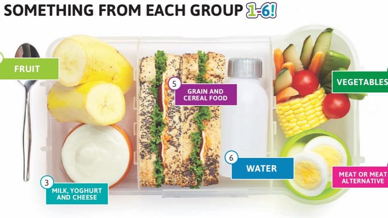 THE BALANCED LUNCH BOX: your child’s TOOL KIT FOR LEARNING, PLAY & GROWTH